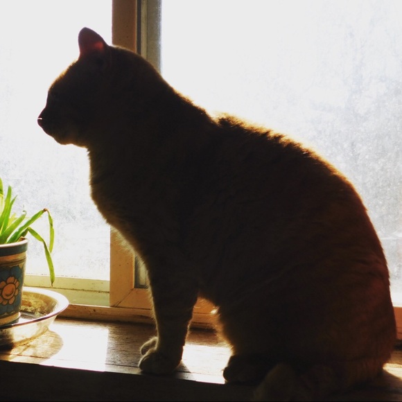 Meet your Posher, Kathryn - Picture 2 of 2